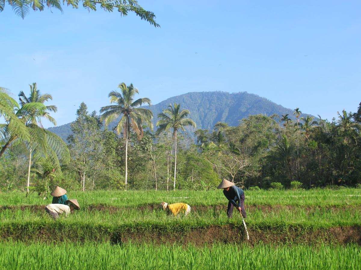 Prana Dewi Mountain Resort ジャティルウィ エクステリア 写真