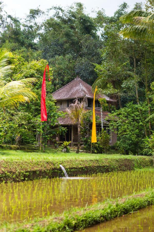 Prana Dewi Mountain Resort ジャティルウィ エクステリア 写真